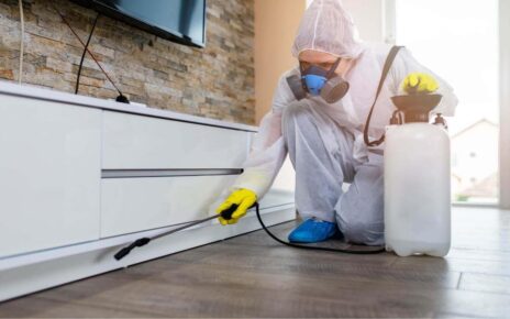 What is furniture pest control service Can I DIY