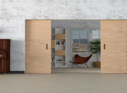 Stylish Sliding Door Kit