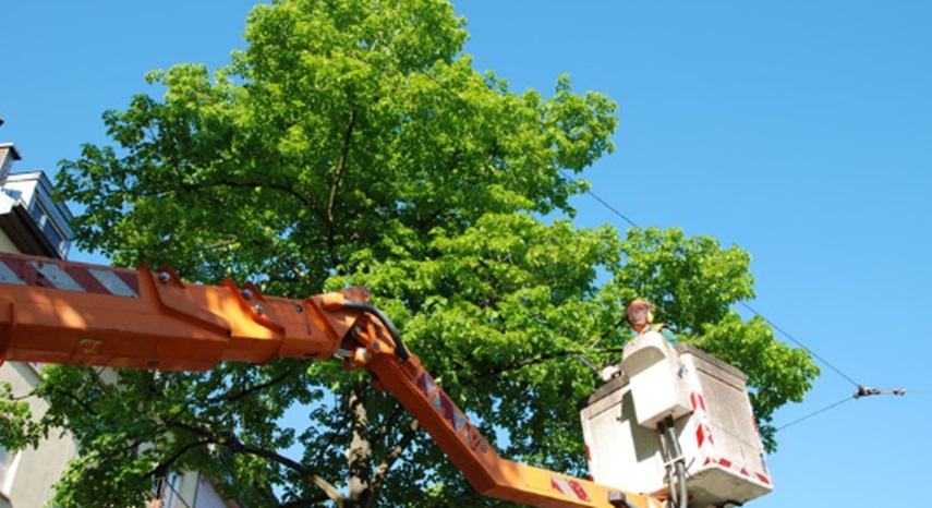 Storm Damage