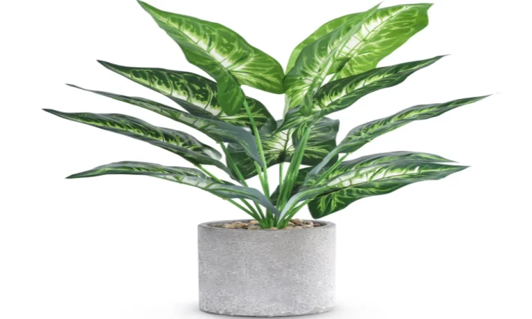 Custom Outdoor Faux Plants for Sarasota Patios